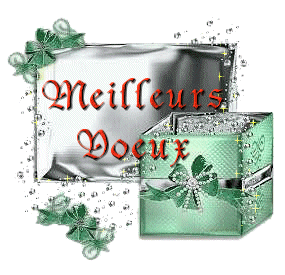 logo_MEILLEURS_VOEUX.gif
